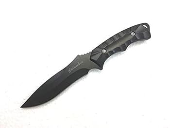 313saZ+LCvS._UF350,350_QL80_.jpg